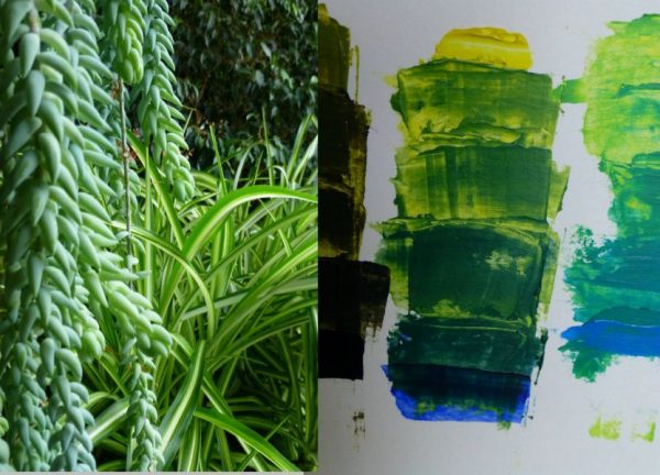 Mix Greens to paint indoor plants
